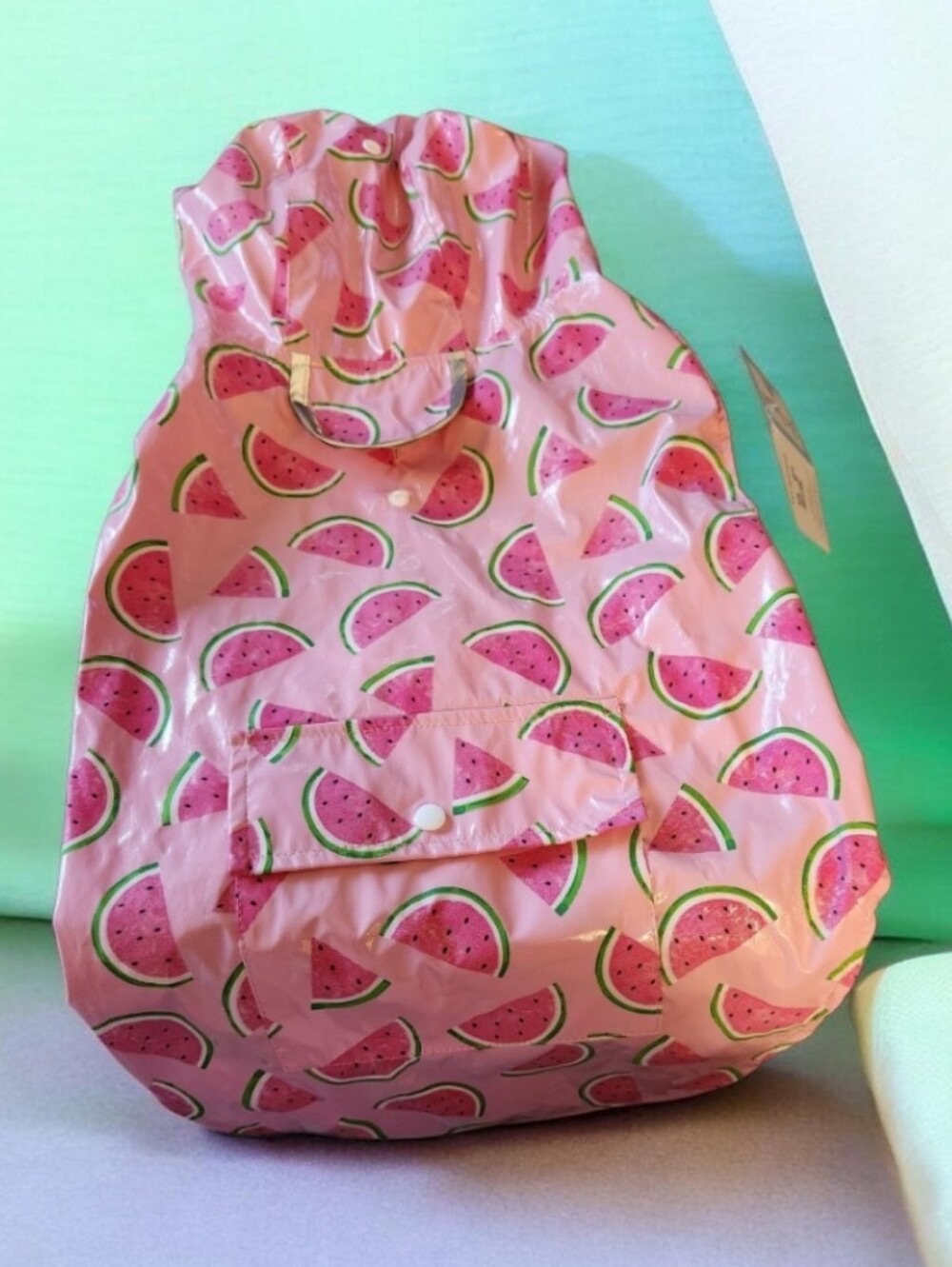 Watermelon Print Pet Raincoat ■ Final Price